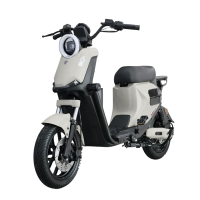 Электровелосипед SAIGE GT1 белый