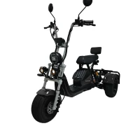 ЭЛЕКТРОСКУТЕР CITYCOCO Trike GT X6 PRO Черный
