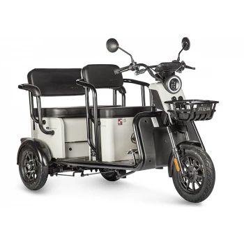 Электротрицикл Wanshida LC300 60V 1000Вт